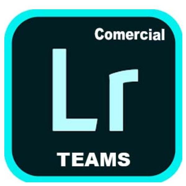 Adobe Lightroom with Classic for teams - Nuovo abbonamento (1 anno) - 1 utente …