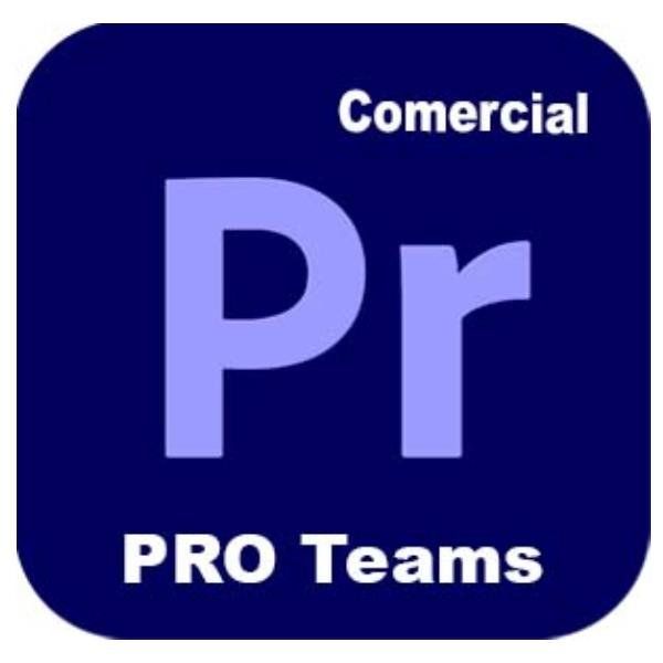 Adobe Premiere Pro for teams - Nuovo abbonamento (1 anno) - 1 utente - GOV - Ad…