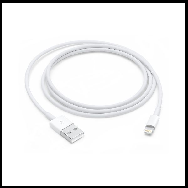 Apple - Cavo Lightning - Lightning maschio a USB maschio - 1 m