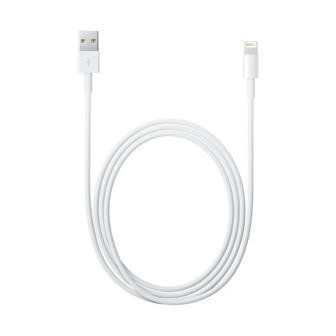 Apple - Cavo Lightning - Lightning maschio a USB maschio - 2 m