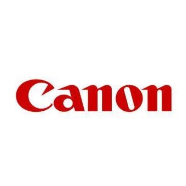 Canon PFI-300 M - Magenta - originale - serbatoio inchiostro - per imagePROGRAF…