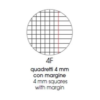 BE MORE CENTUS QUADERNO PUNTO METALLICO 100GR 210X297 mm A4 36 FOGLI A QUADRETT…