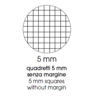 BE MORE FLOR MAXI QUADERNO PUNTO METALLICO 100GR 210X297 mm A4 48 FOGLI A QUADR…