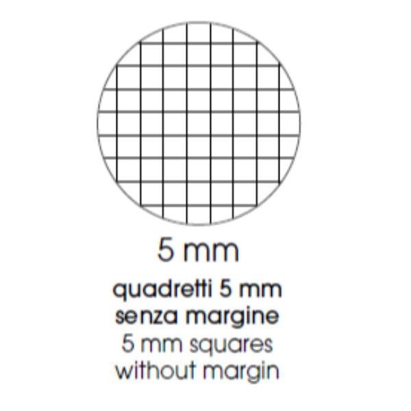 BE MORE FLOR MAXI QUADERNO PUNTO METALLICO 100GR 210X297 mm A4 48 FOGLI A QUADR…