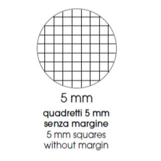 BE MORE MAXI SPIRALATO FLUO QUADERNO 80GR 210X297 mm A4 60 FOGLI A QUADRETTI 5M…