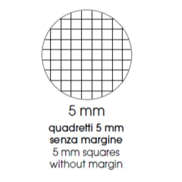 BE MORE MAXI SPIRALATO FLUO QUADERNO 80GR 210X297 mm A4 60 FOGLI A QUADRETTI 5M…
