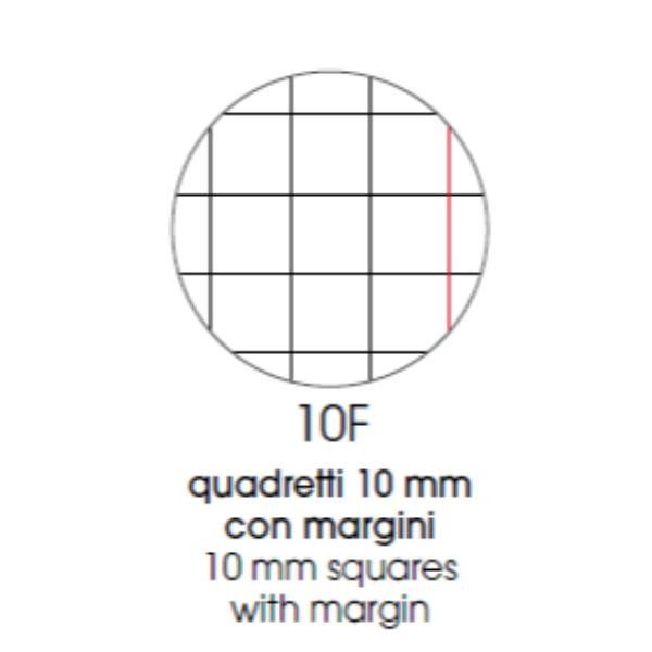 BE MORE RICAMBI RINFORZATI BANDUP 100 GR 210X297 mm A4 40 FOGLI A QUADRETTI 10F…