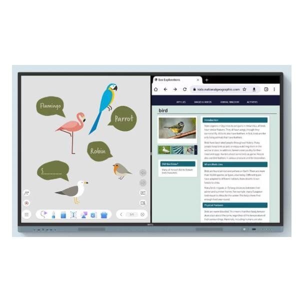 BenQ RM7504, 190,5 cm (75ʺ), 1649,7 x 927,9 mm, 450 cd/m², 3840 x 2160 Pixel, 4…