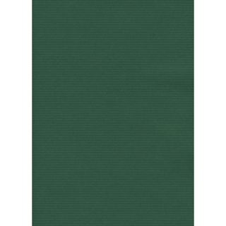 Carta regalo in fogli Rex-Sadoch formato 140x100 cm - conf. 10 pezzi - verde - …