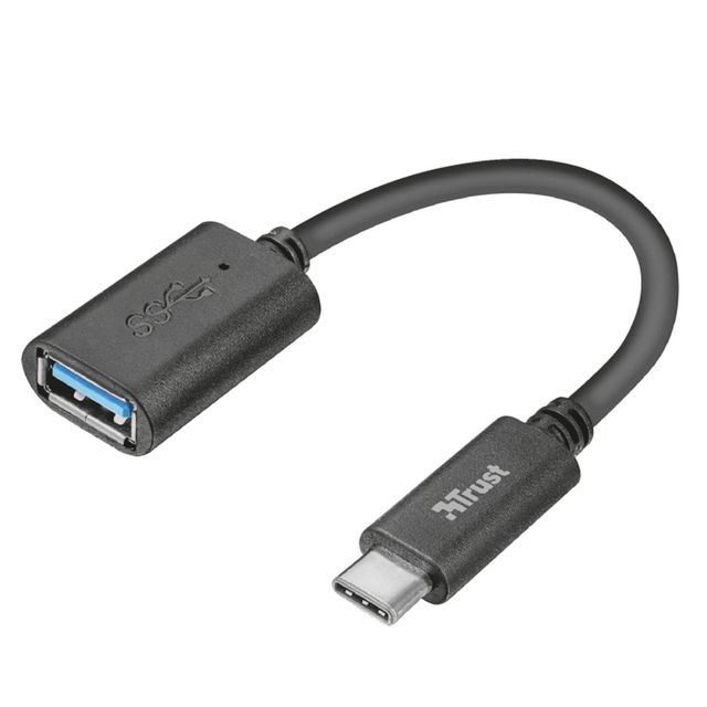 C2G Computer Power Cord Extension - Prolunga alimentazione - IEC 60320 C13 a IE…