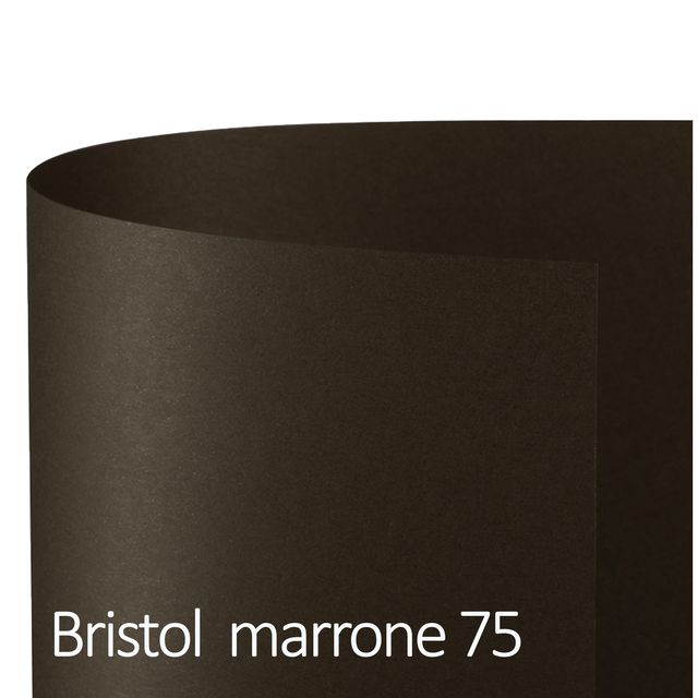 Cartoncino Bristol Color - 50 x 70 cm - 200 gr - marrone 75 - Favini - conf. 25…