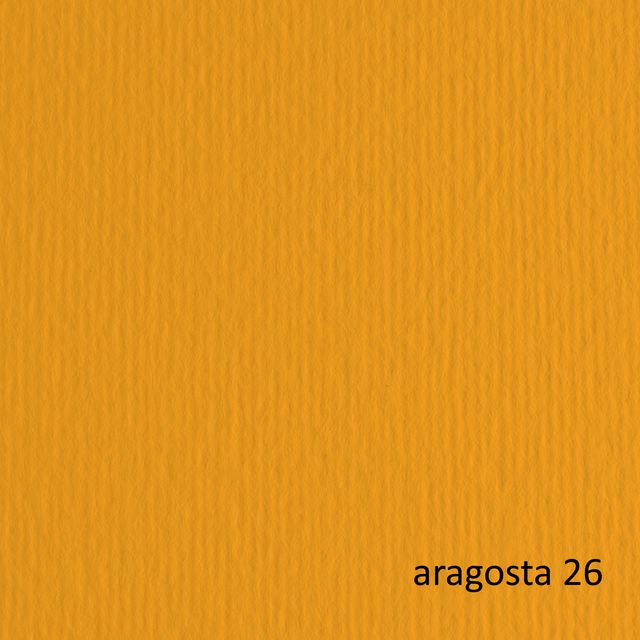 Cartoncino Elle Erre - 50 x 70 cm - 220 gr - aragosta 26 - Fabriano - blister 2…