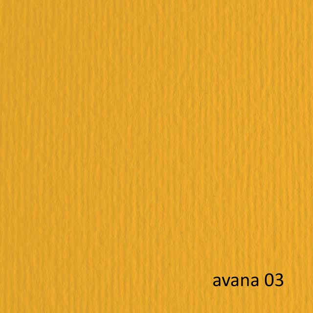 Cartoncino Elle Erre - 50 x 70 cm - 220 gr - avana 103 - Fabriano - blister 20 …