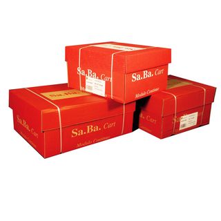 Carta in modulo continuo - 24 x 12 " - 60 gr - piste fisse - lettura facile gri…