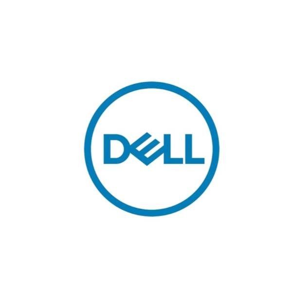 DELL TECHNOLOGIES DELL 165 W USB-C GAN AC ADAPTR EURO