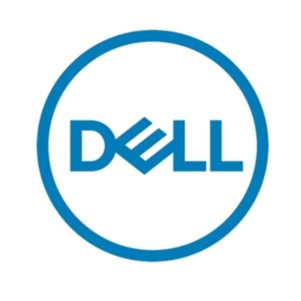 Dell - HDD - crittografato - 2.4 TB - hot swap - 2.5" (in supporto da 3,5") - S…