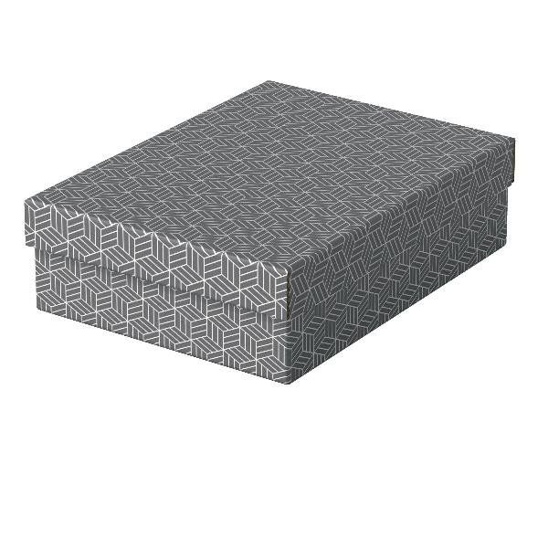ESSELTE CF3 SCATOLA CARTONE RICICLATO GRIGI